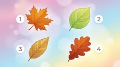 Persönlichkeitstest: Finde heraus, wie aufmerksam du bist